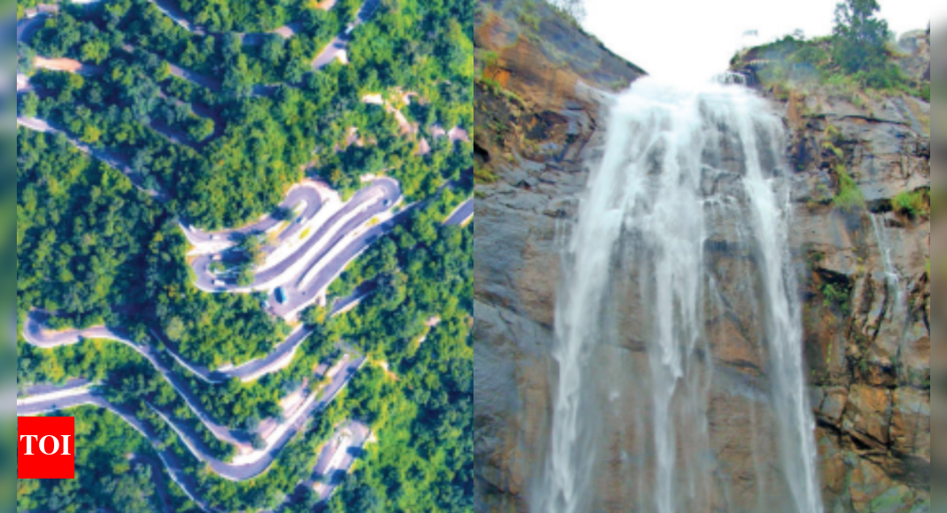 Tamil Nadu Embark on a weekend getaway to Kolli Hills Chennai News