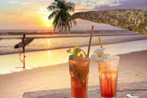 Touristy things that are ILLEGAL in Goa