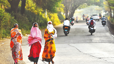 Jalgaon coldest in Maharashtra at 8.5°C, Nashik shivers at 9.8°C