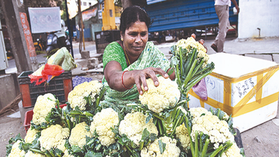 Andhra Pradesh: Poor demand upsets cauliflower farmers