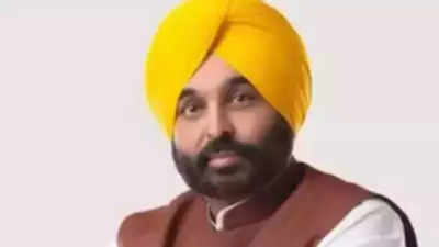 Have Punjabi on signboards by Feb 21 or govt will make you toe line: Bhagwant Mann