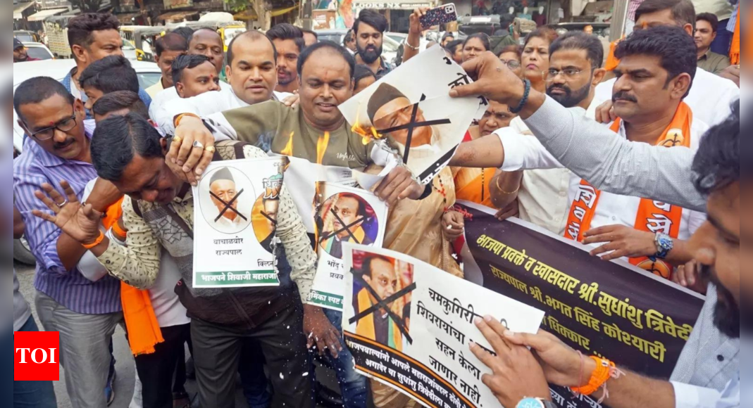Shivaji row: Protests in Maha; BJP in damage control mode