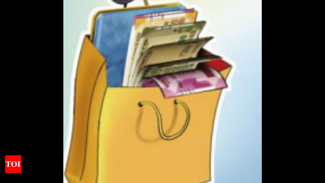 carry bag: Why retail stores still charge customers for carry bags despite  courts deeming it unfair & illegal? - The Economic Times