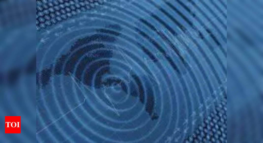 Strong 7.0 quake hits Solomon Islands – Times of India