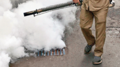 Bihar sees 46 new dengue cases