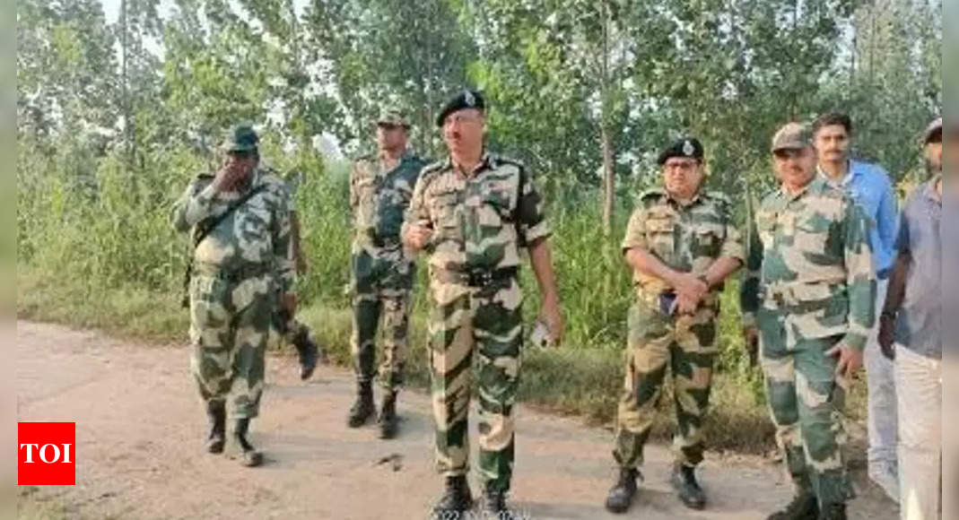 Pakistani intruder shot dead, another arrested along IB in J&K: BSF | India News – Times of India