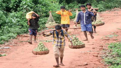 Telangana: Girijana Bandhu may not cover all tribals