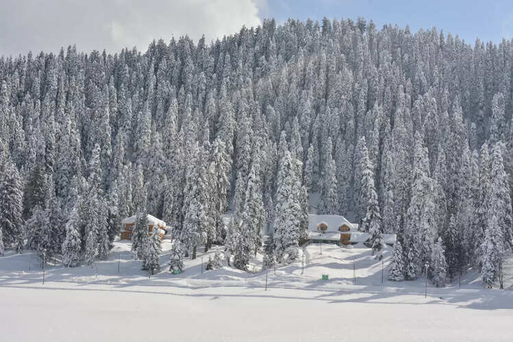 Gulmarg