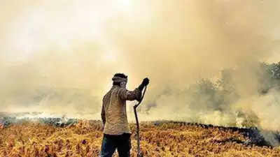 Uttar Pradesh agriculture dept threatens to stop PM kisan nidhi for farmers engaged in stubble burning