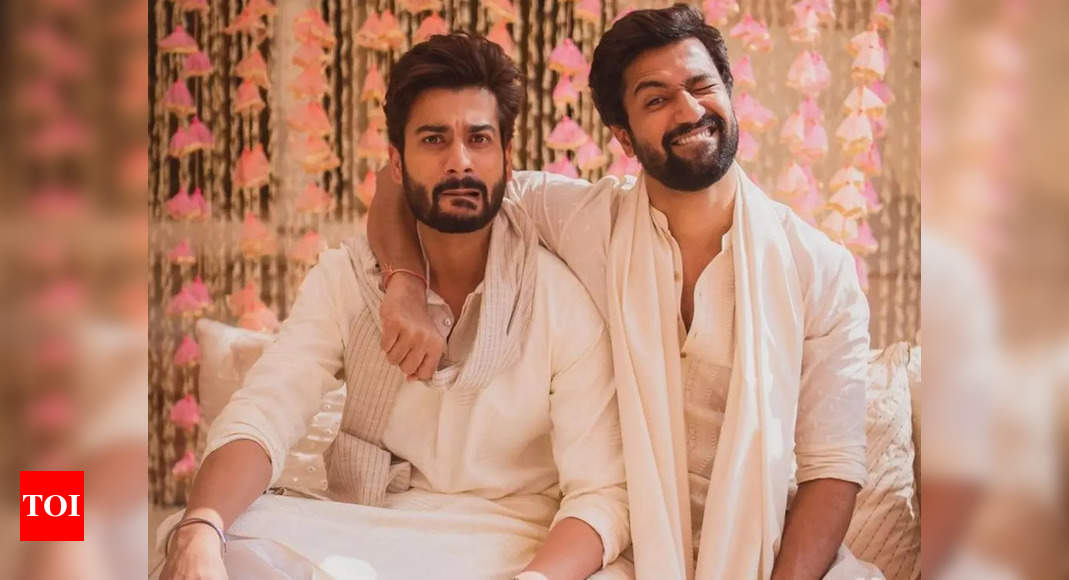 Vicky Kaushal steals Sunny Kaushal’s snacks, here’s how he reacts – pic inside – Times of India