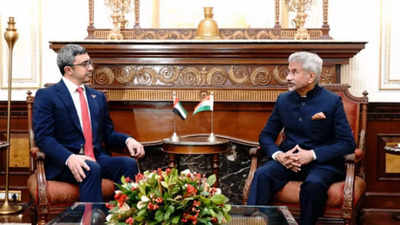 India, UAE talk on trade ties, use of UPI for remittances