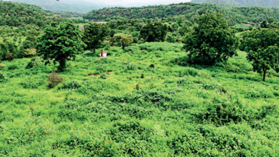 Telangana: 10 lakh acres of forest land under threat