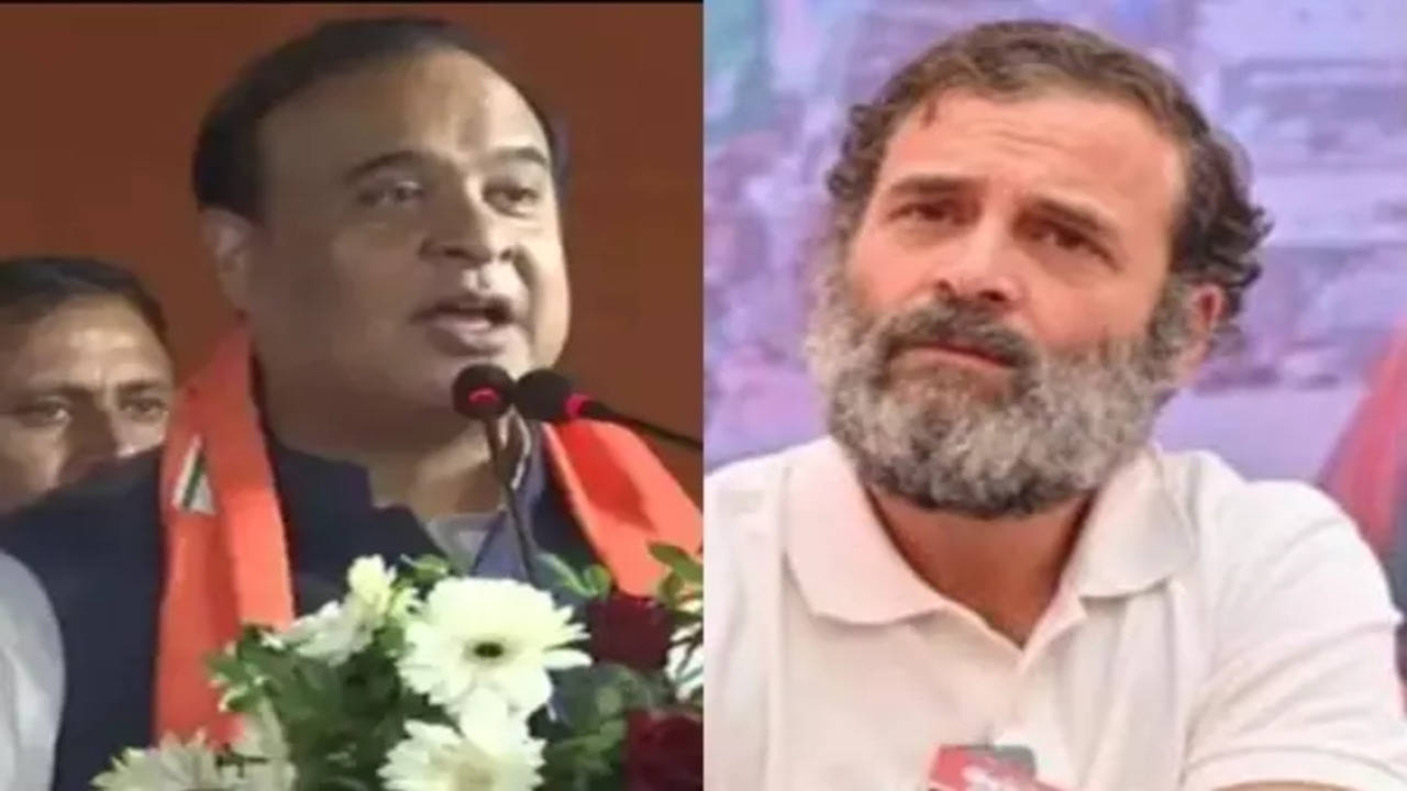 Rahul Gandhi: Rahul Gandhi looks like Saddam Hussain now: Assam CM Himanta  Biswa | India News - Times of India