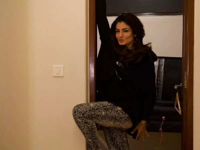 Raveena Tandon gets her fun, dancing mode looking stunning as always as she pouts - Watch video