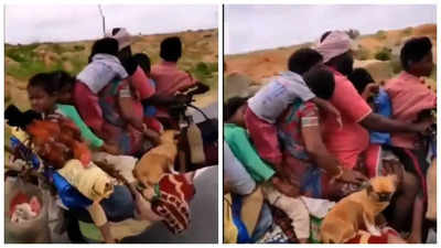 Watch: Video of 7 people, 2 dogs and a hen riding a bike stuns internet