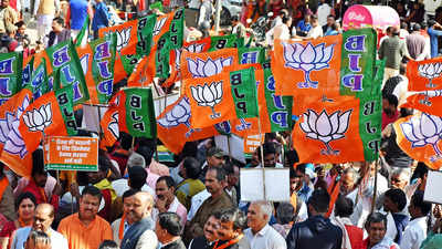 BJP's protest rally against Hemant Soren government continues in Jharkhand
