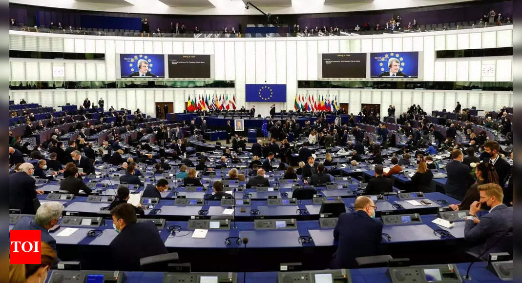 European Parliament declares Russia a state sponsor of terrorism – Times of India