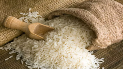 Madhya Pradesh: Six officials sacked over substandard rice