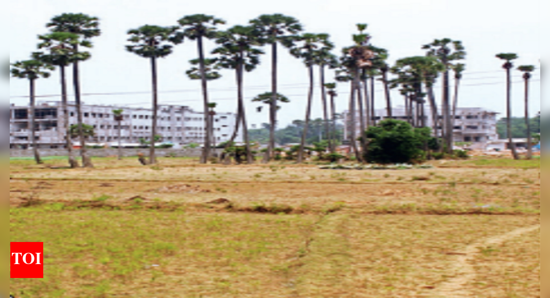 Dharani woes: CM KCR to meet dist collectors