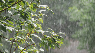 Study: Erratic Rainfall Events Indicative Of Climate Change | Kochi ...