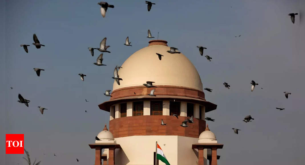 RTI portal to help people access information about SC operationalised | India News – Times of India