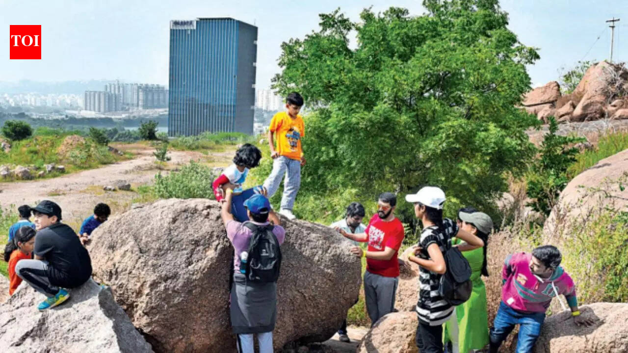 Hyderabad’s rock stars older than Himalayas | Hyderabad News - The ...