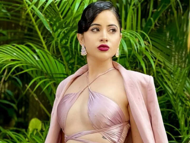Urfi Javed fears being banned from travelling to UAE after entry rule change