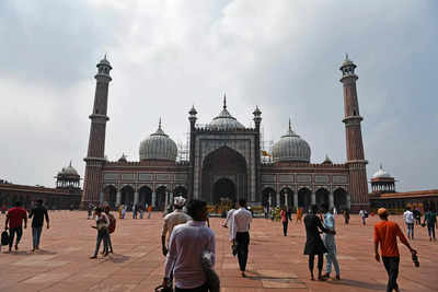 Move to ban entry of girls into Delhi's Jama Masjid anti-women, unconstitutional: VHP