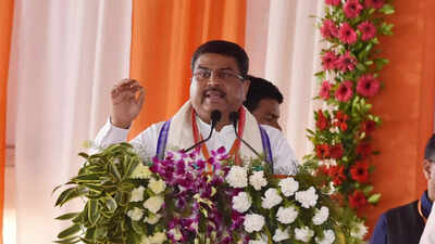 Roots of democracy can be traced in India to fourth century: Dharmendra Pradhan