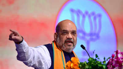No one can stop us from rewriting history to free it from distortions: Amit Shah