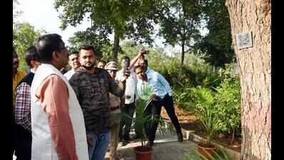 Trees at Chanda Forest Academy to talk via app