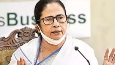 Court cases hitting jobs: Bengal CM Mamata Banerjee