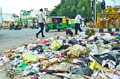 Bidding Process For Waste Tender Over For All Wards | Bengaluru News ...