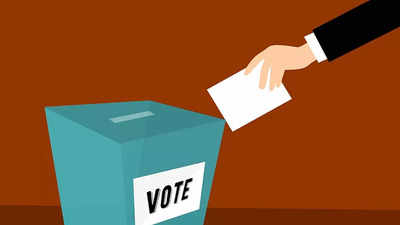 Gujarat elections: Sadhus, mahant seek blessings of voters