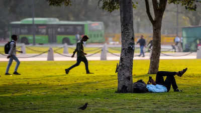 At 7.8 degrees Celsius, Delhi sees coldest November morning since 2020