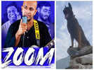 Kolkata music band releases first ever tribute song for Zoom, the martyred army assault dog - Exclusive!