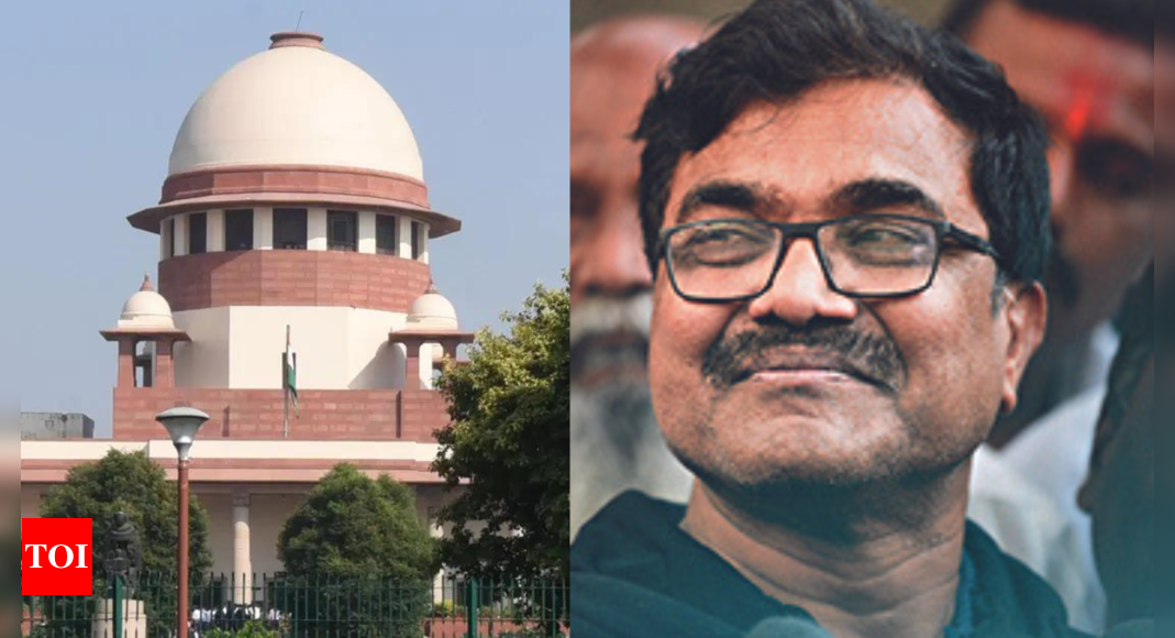 SC dismisses NIA’s plea against bail granted to Anand Teltumbde in Elgar Parishad-Maoist links case | India News – Times of India