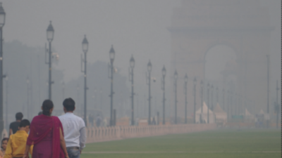 Gap in Municipal Corporation of Delhi’s awareness on air pollution, says study
