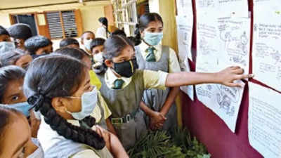 Bengaluru: Many schools relax mask rule; some docs advise usage amid infections