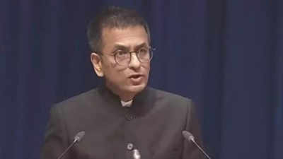 Increase representation of marginalised and women in judiciary, says CJI DY Chandrachud at Constitution Day event