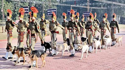 In a first, BSF to celebrate its Raising Day in Punjab