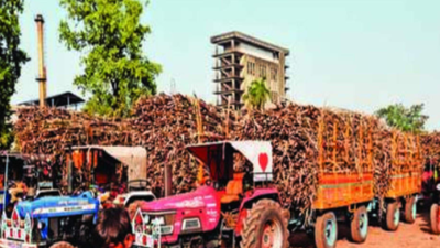'Strips of fluorescent paint must for sugarcane vehicles in UP'