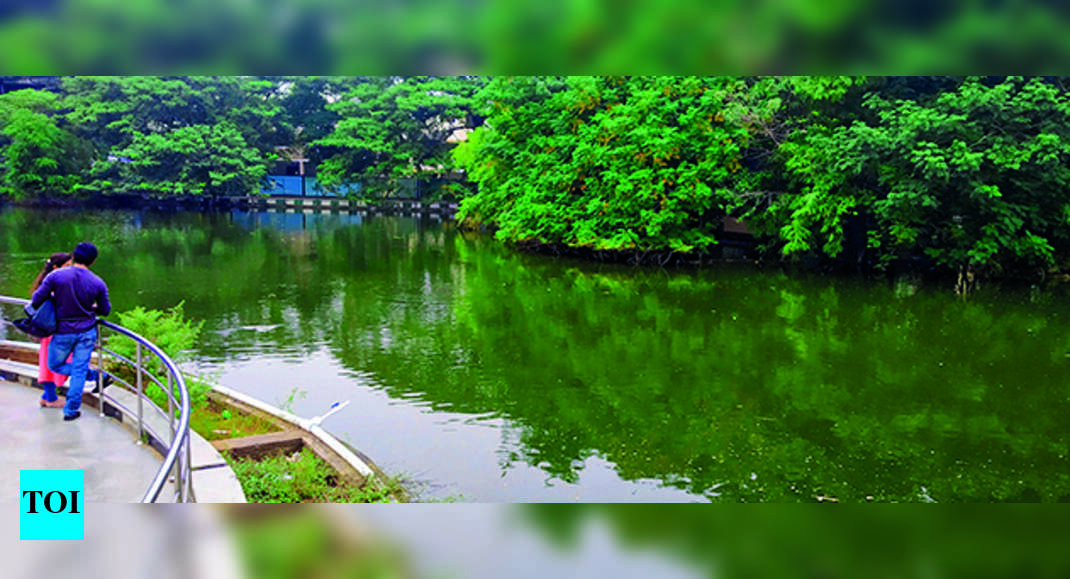 Mangal Eri Park Chennai Parks Bloom As Gcc Leases Them Out Chennai