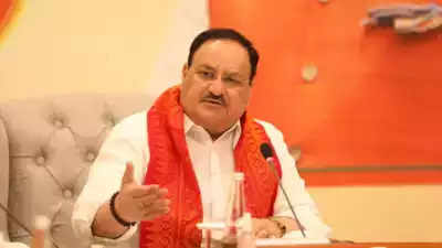 MCD polls: AAP govt working against interests of common man in Delhi, says BJP chief J P Nadda