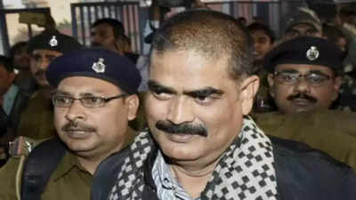 Bihar: First in 30 years, Md Shahabuddin's kin out of RJD panels