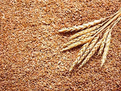 Procurement low but wheat stock helped meet demand