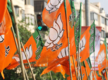 
BJP wins 4 out of 10 zila parishad seats
