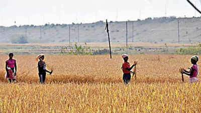 Jharkhand to roll out 'smart agro village' scheme soon