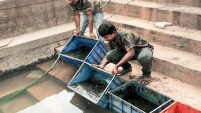 Mangaluru: Greens on a mission to shift fish from abandoned construction sites