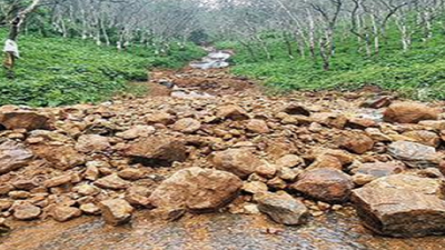 Kerala: Landslide-hit in Koottickal get recovery notices